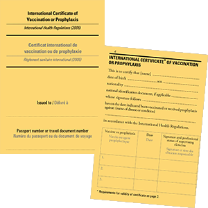 Yellow Fever Vaccination Certificate